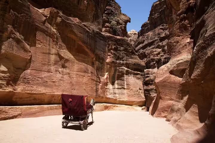 Horse-drawn carriage in Petra’s Siq canyon, Jordan, on full-day tour from Sharm El Sheikh