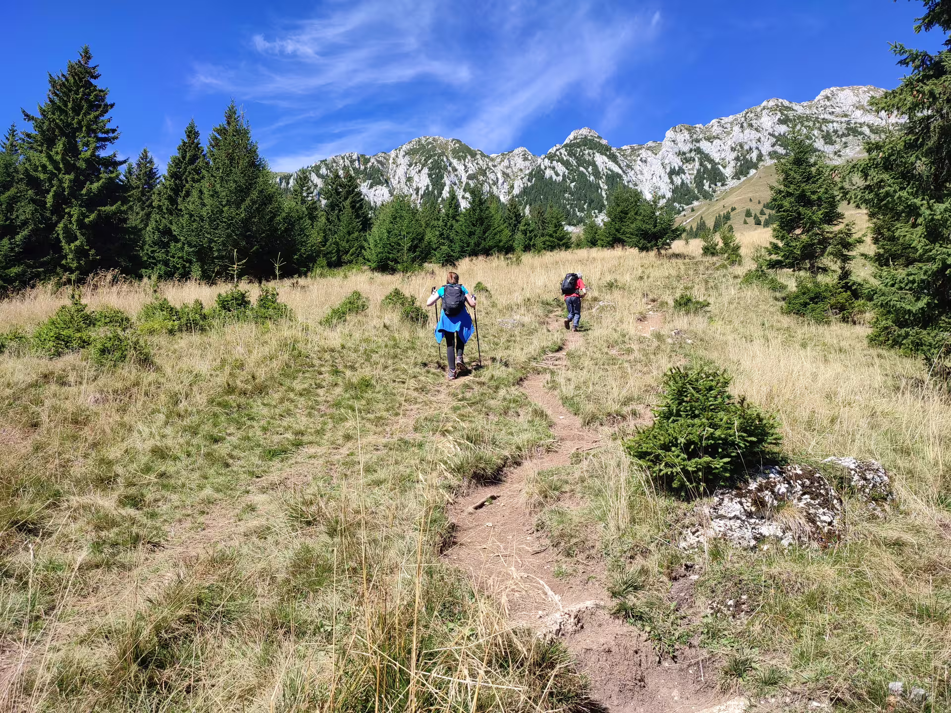 Two hikers with backpacks and trekking poles on a mountain trail in Piatra Craiului, Romania