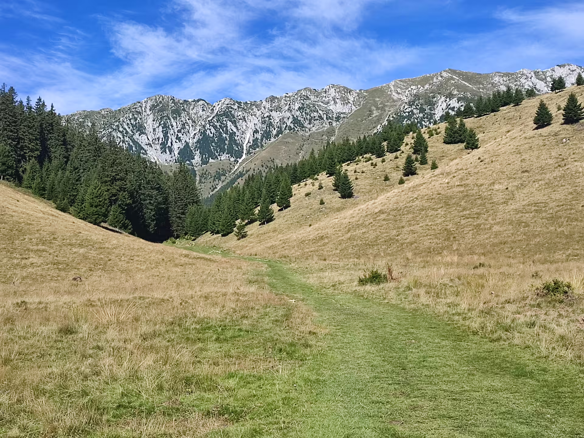 Green valley trail leading toward rocky Piatra Craiului ridge with scattered pine trees under blue sky