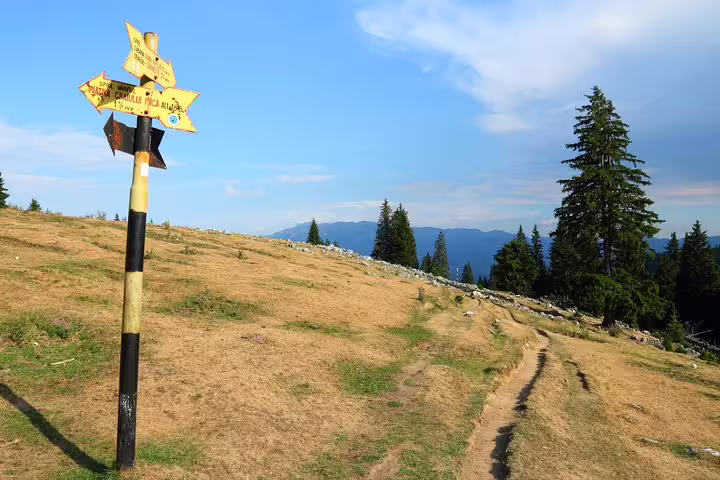Yellow trail signpost on grassy mountain ridge in Piatra Craiului National Park with pine trees and mountains