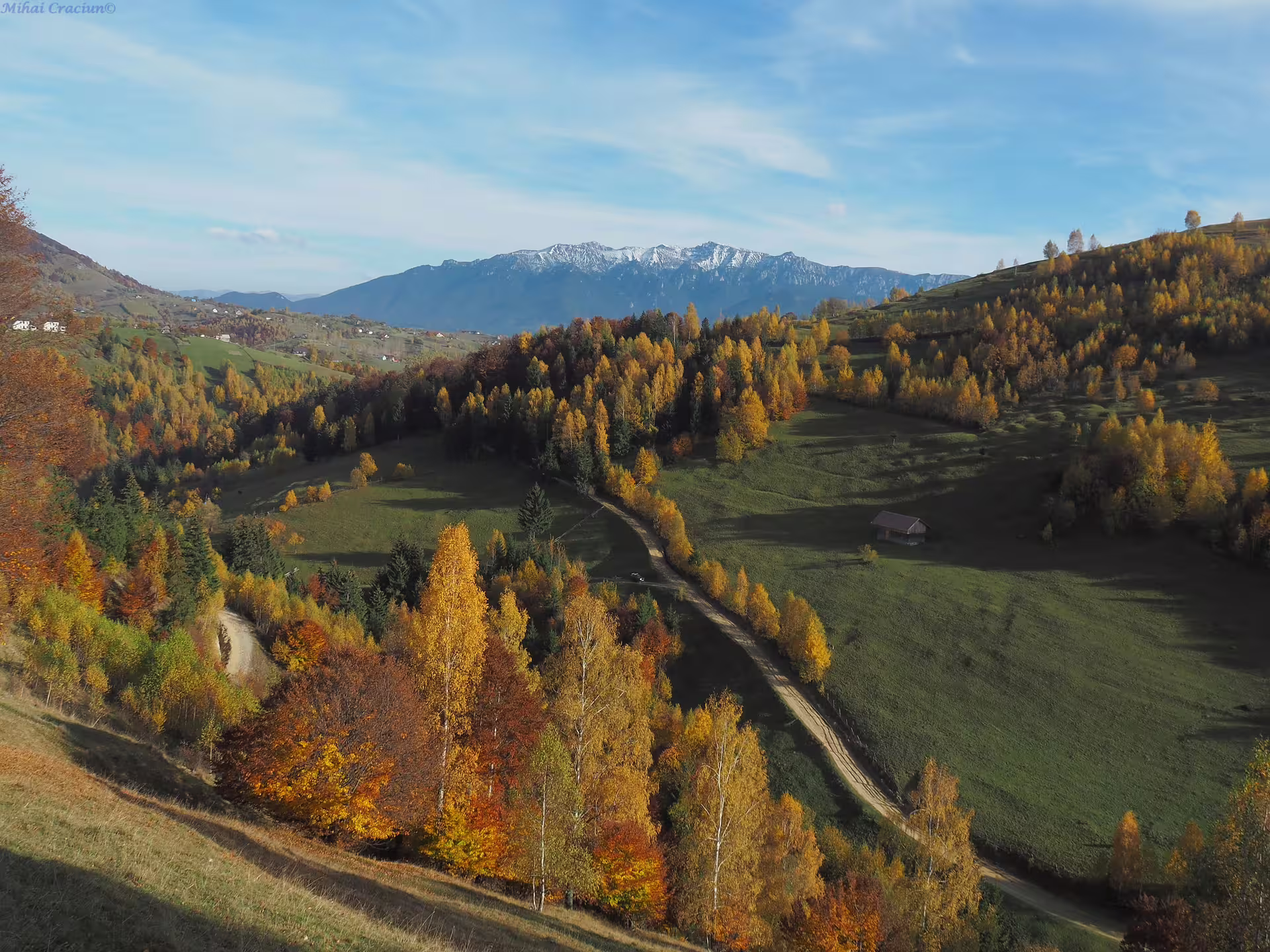 Aerial autumn valley view with colorful forest and snow-capped Piatra Craiului mountains in background