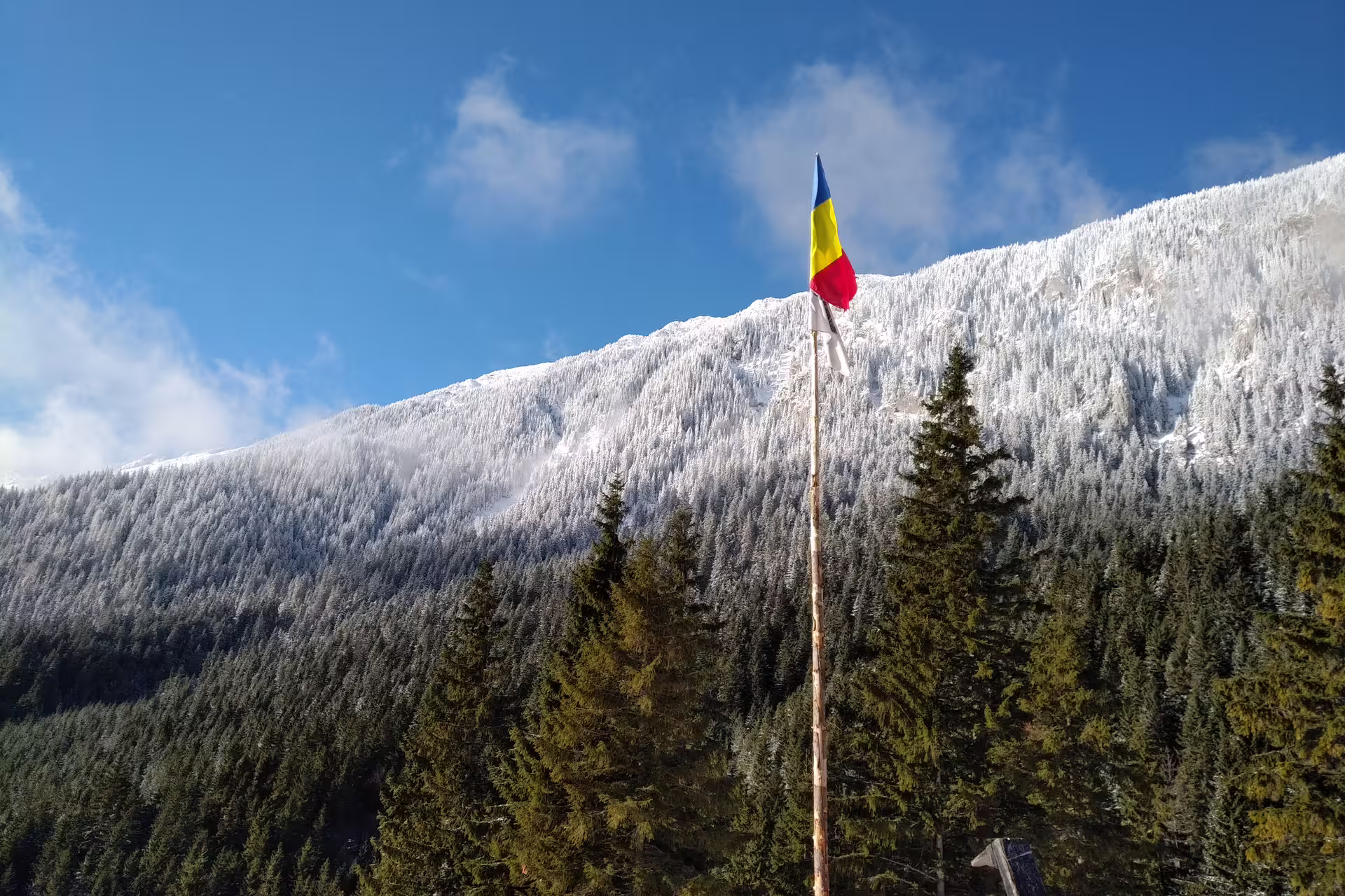 Romanian flag on a pole with snow-covered Piatra Craiului mountain slopes and evergreen forest in winter
