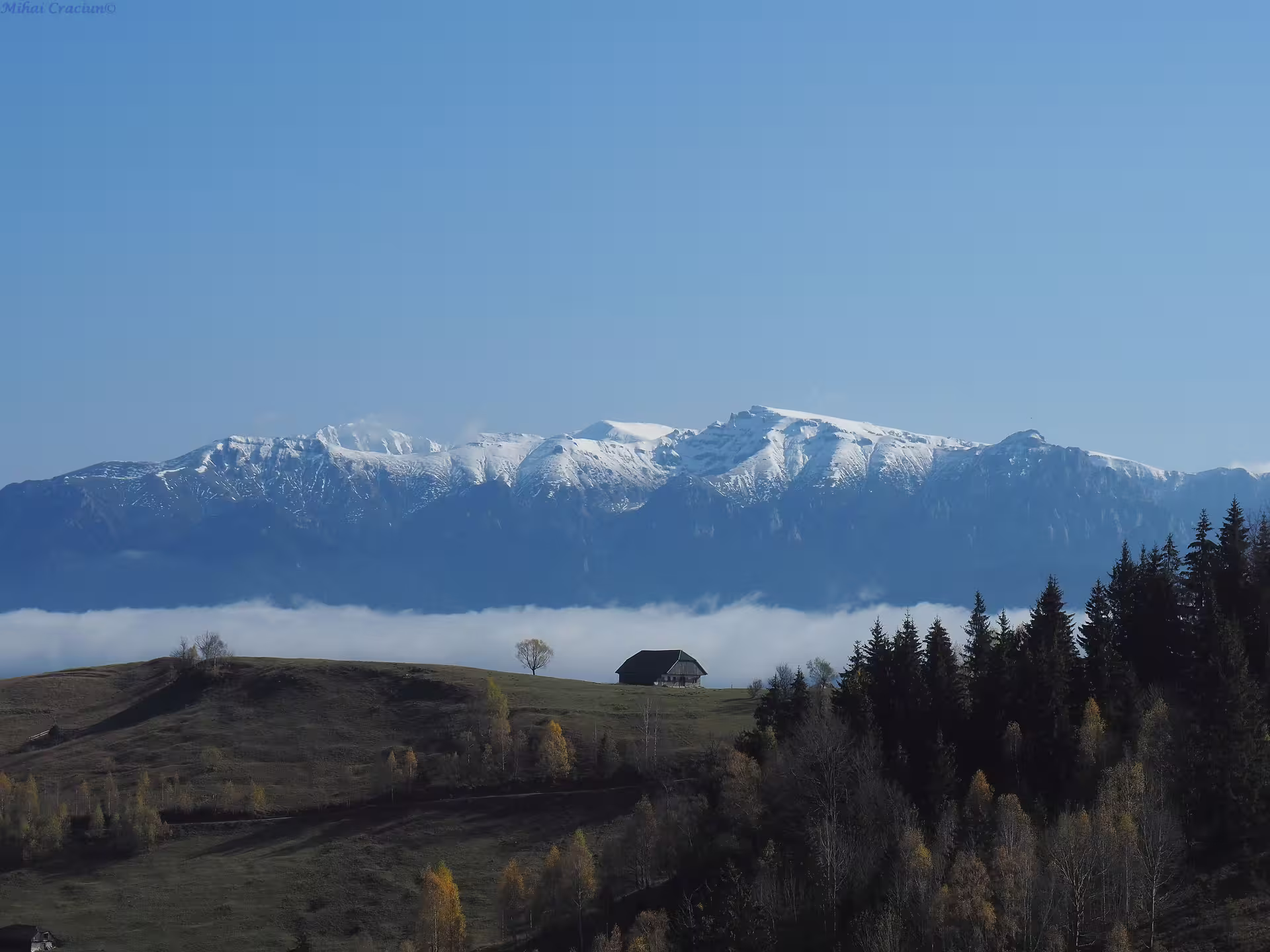 Snow-capped Piatra Craiului ridge above clouds with lone mountain cabin and autumn forest in foreground