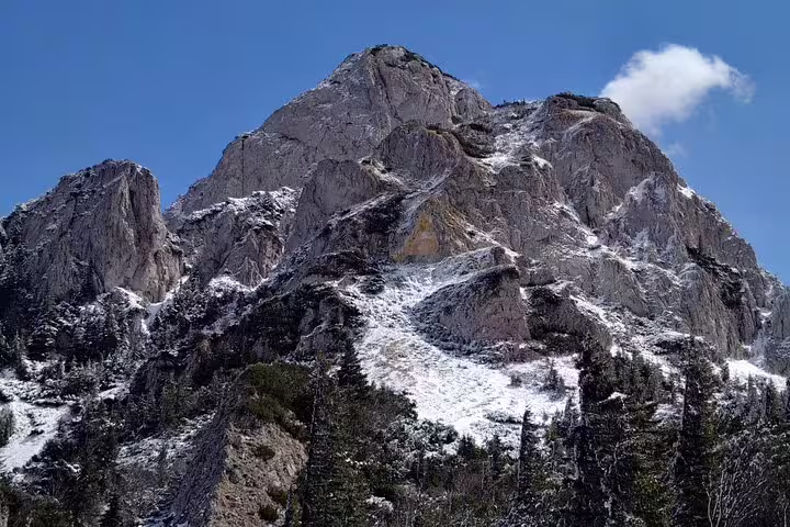 Rocky snow-dusted peak of Piatra Craiului mountains with pine trees under blue sky