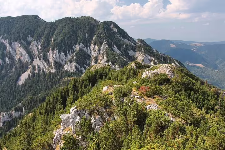 Rocky mountain ridge with dense pine forests in Piatra Craiului National Park, Romania