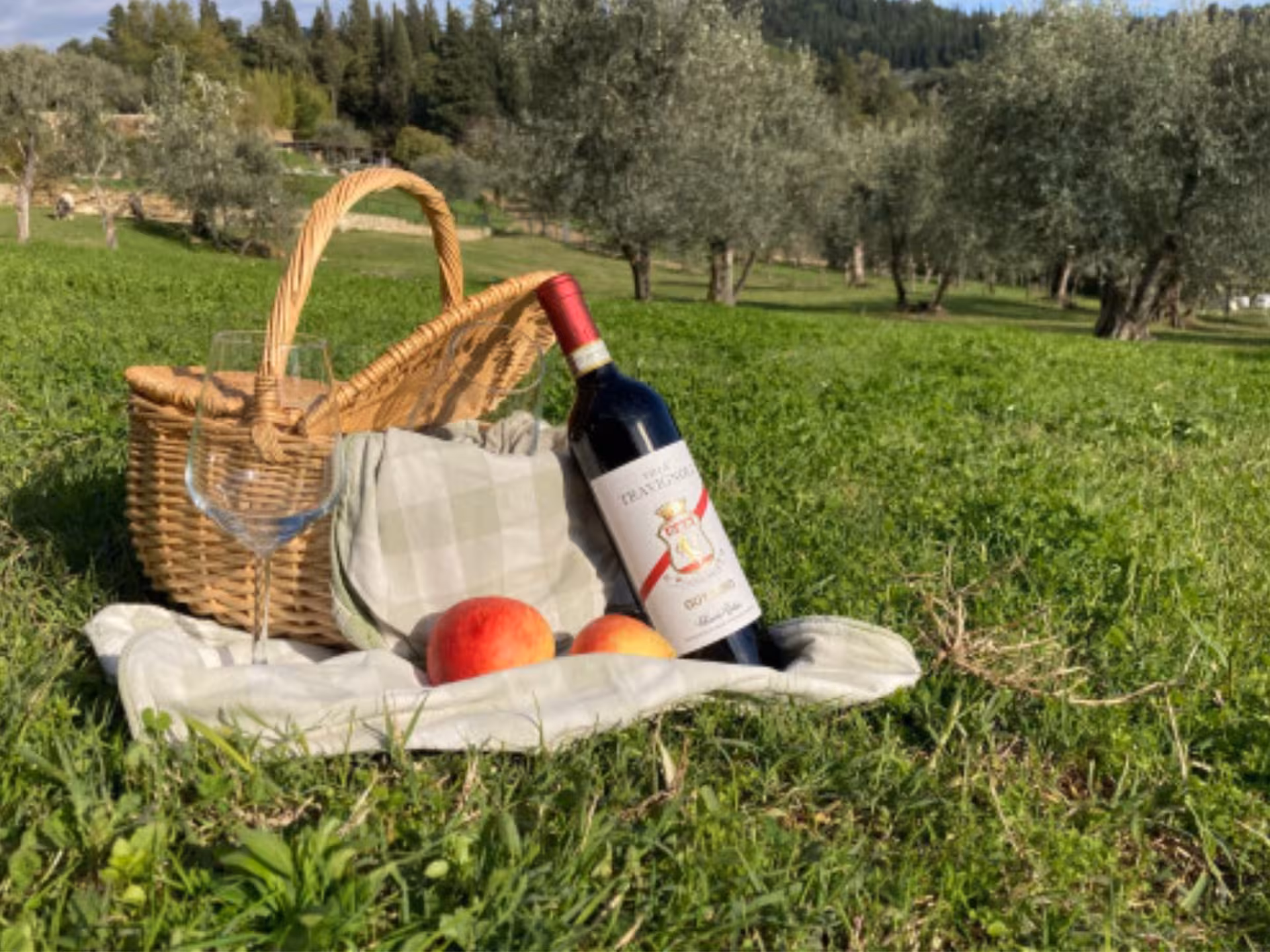 Picnic setup with wine, fruits, and basket on lush grass in a serene park near Florence.