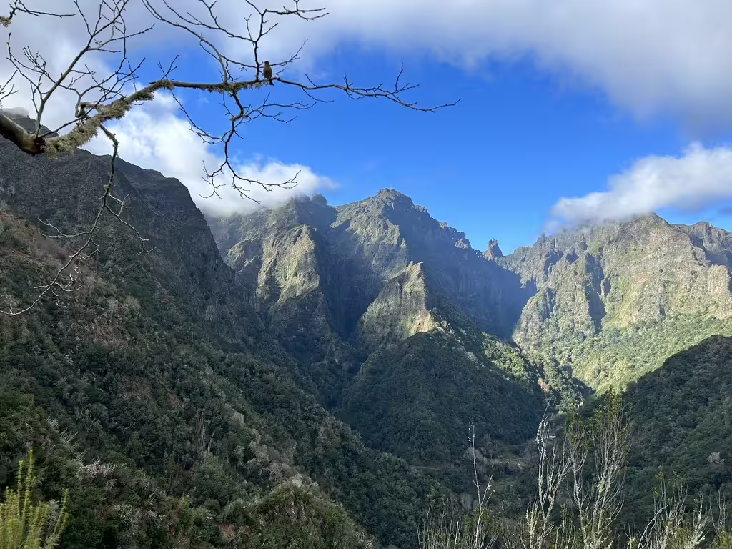 Majestic view of Pico do Arieiro's rugged peaks under a clear blue sky, showcasing Madeira's dramatic landscapes on a full-day tour.