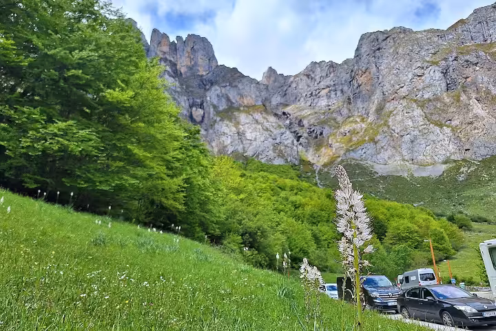 Scenic view of Picos de Europa's towering cliffs and lush greenery with parked cars in the foreground.