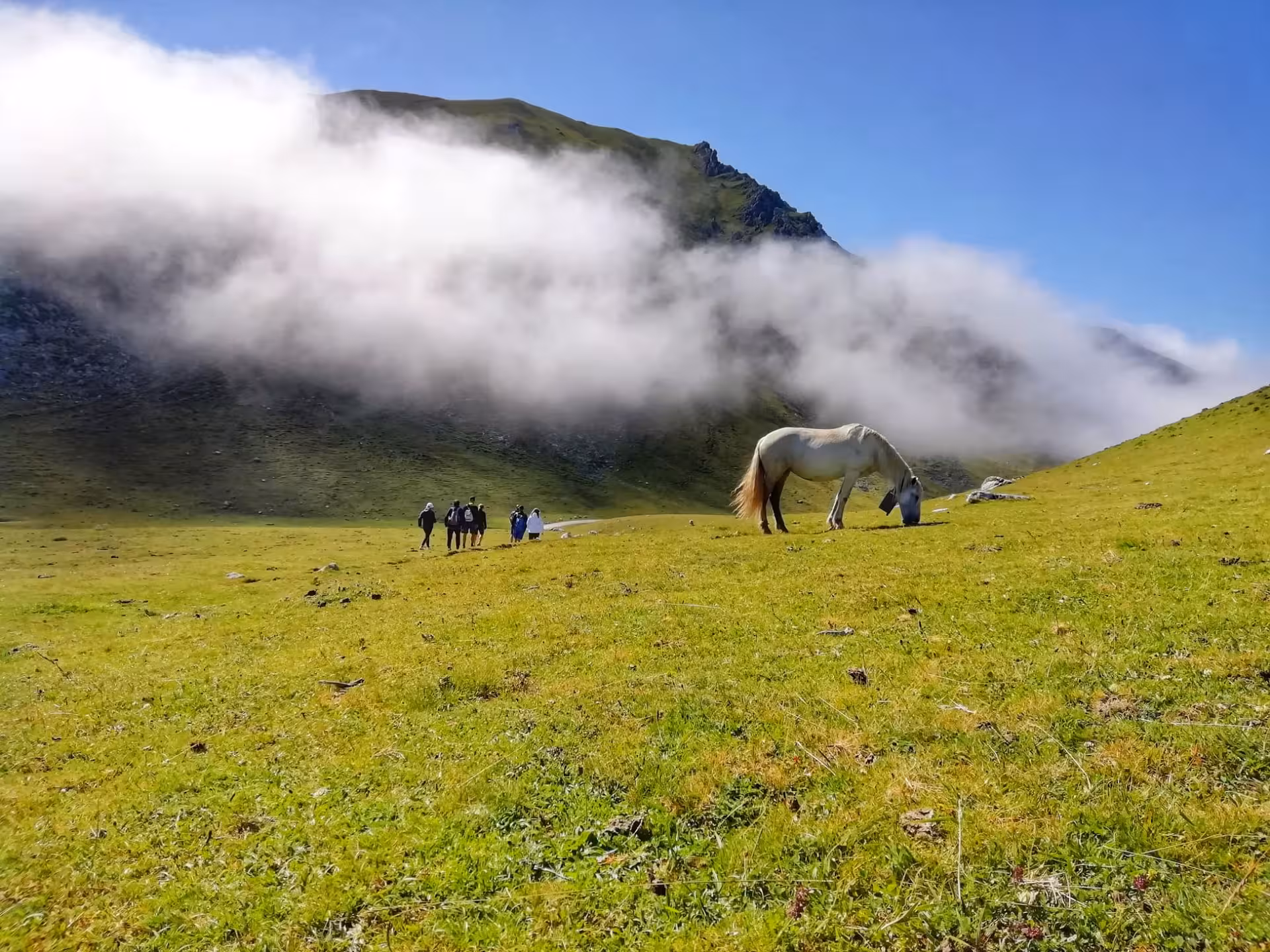 Tourists hiking with a horse grazing in the lush green valleys of Picos de Europa under a clear blue sky.