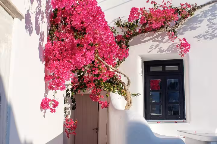 Pink bougainvillea over whitewashed Mykonos house in Chora, a highlight on a private top sights tour