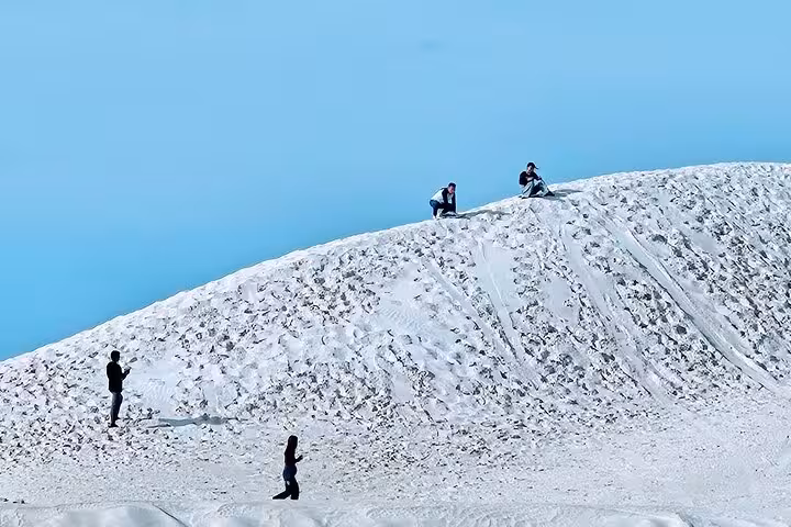 Participants enjoying a climb on a sunlit sand dune during the Pinnacle Day Adventure Tour, ideal for adventure tourism.