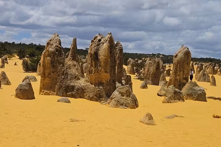 Explore the stunning limestone formations of Pinnacles Desert on the Pinnacle Day Adventure Tour in Western Australia.