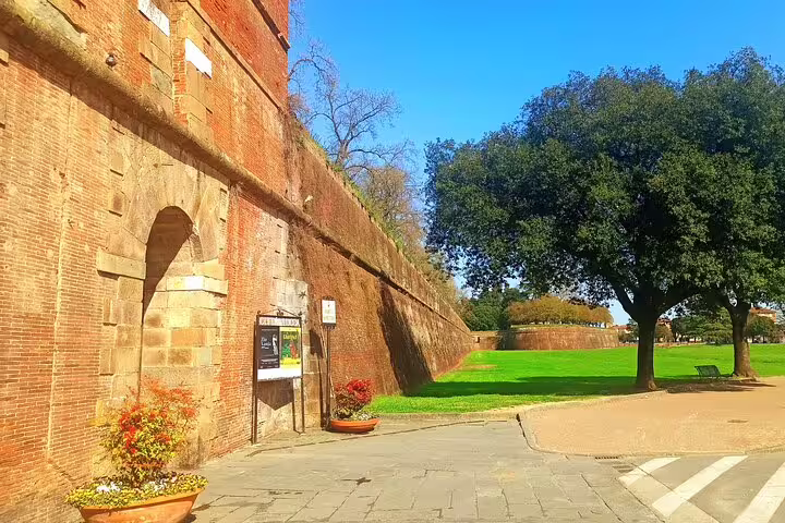 Sunlit medieval walls and green park in Lucca, Italy, visited during private Pisa and Lucca day trip with wine tasting