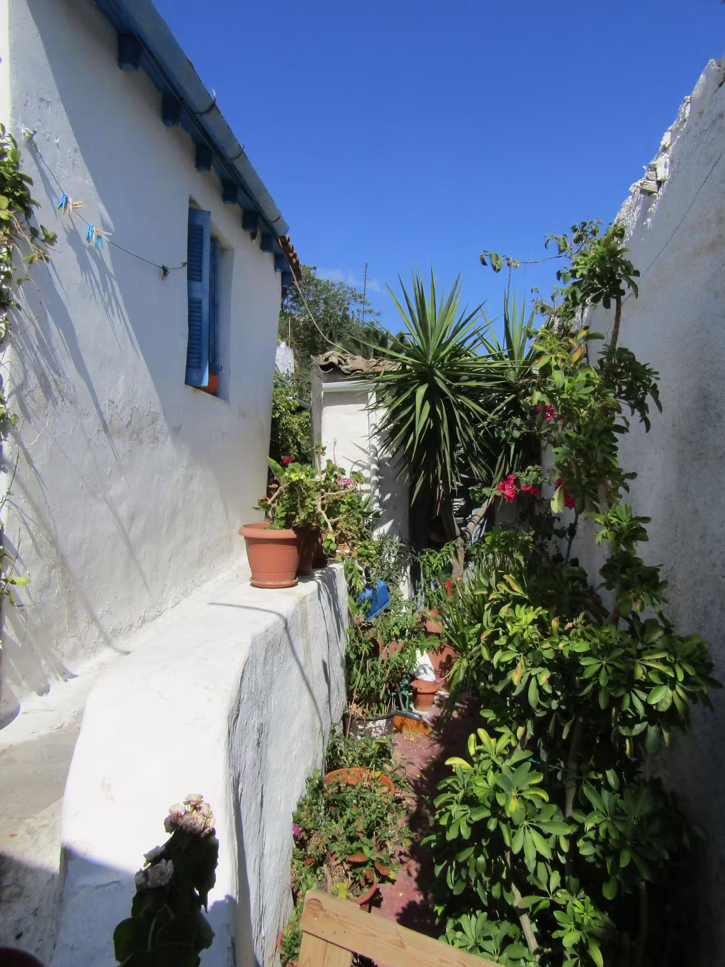 Whitewashed Plaka alley with potted plants and blue shutters on Acropolis, Parthenon walking tour Athens