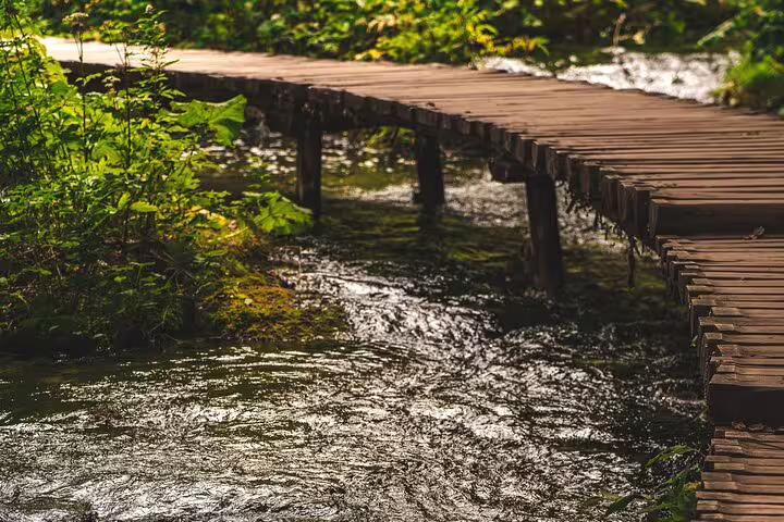 Wooden boardwalk over flowing stream in Plitvice Lakes National Park on a guided scheduled tour