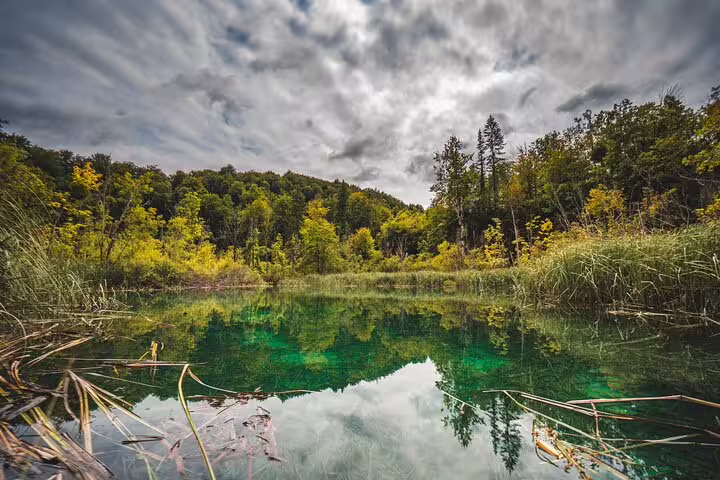 Emerald Plitvice lake with forest reflections under dramatic sky on a scheduled guided tour, Croatia