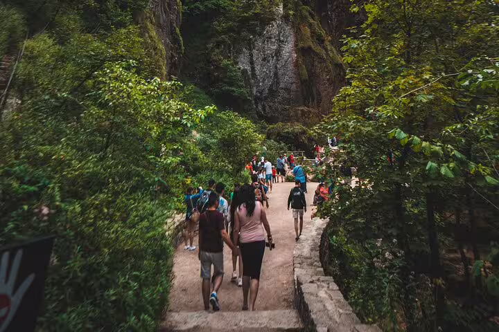 Visitors hiking a forest trail in Plitvice Lakes National Park on a scheduled guided tour in Croatia