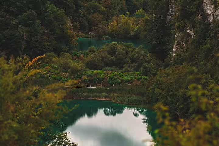 Panoramic view of emerald Plitvice Lakes and lush forest valley on a scheduled guided tour in Croatia