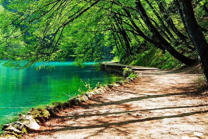 Lakeside walking trail under green canopy at Plitvice Lakes, Croatia, on a scheduled guided tour