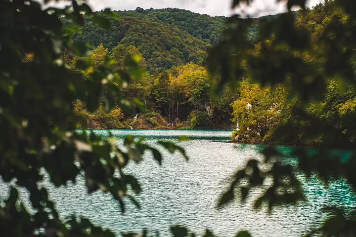 Turquoise lake framed by forested hills in Plitvice Lakes National Park on a private Croatia day tour