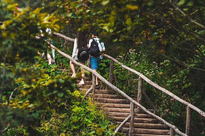 Hikers climbing wooden forest stairs in Plitvice Lakes National Park on scheduled economy day tour