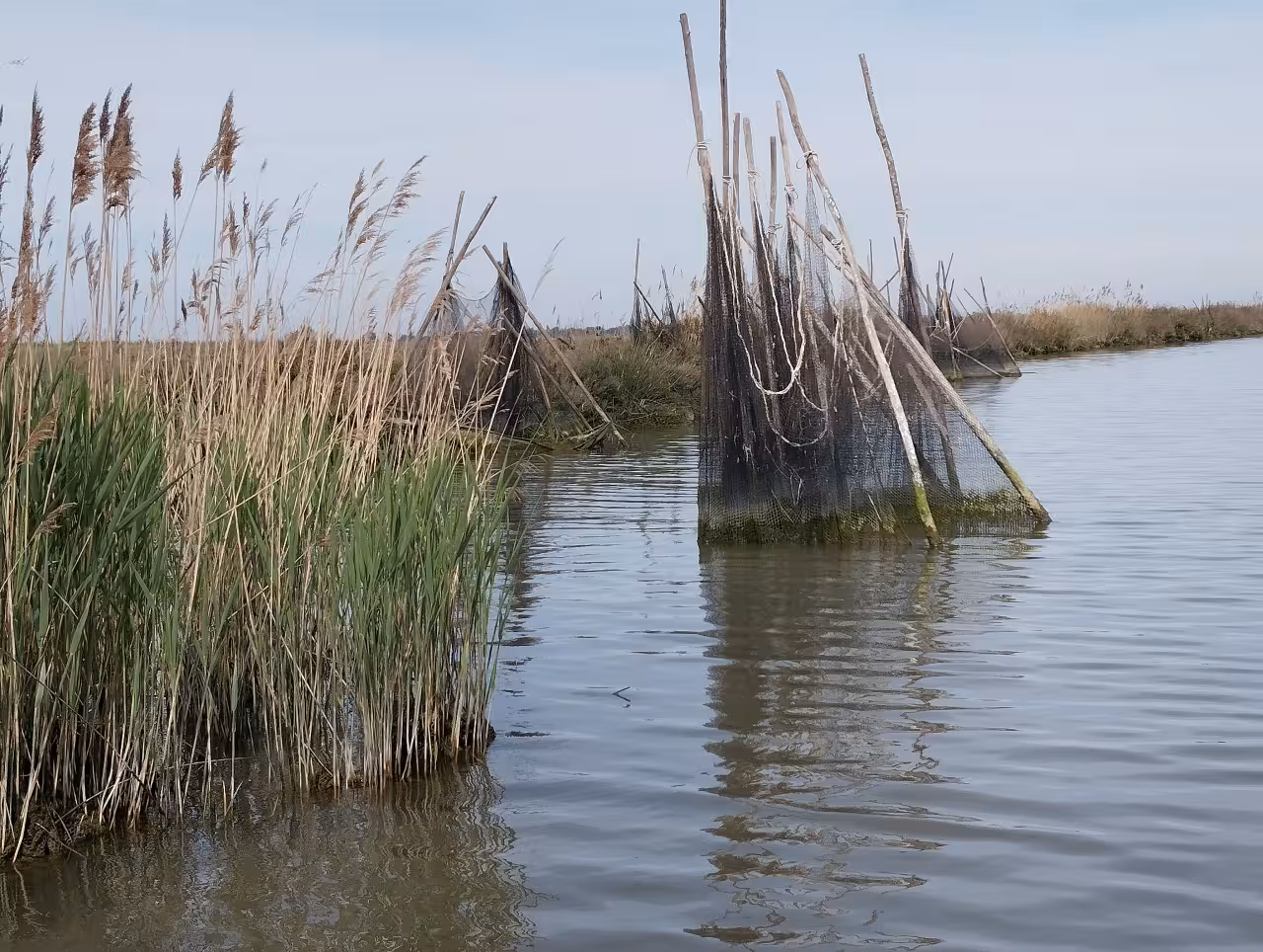 Traditional fishing nets among reeds in the Po Delta lagoon, scenic nature stop on sunset boat tour