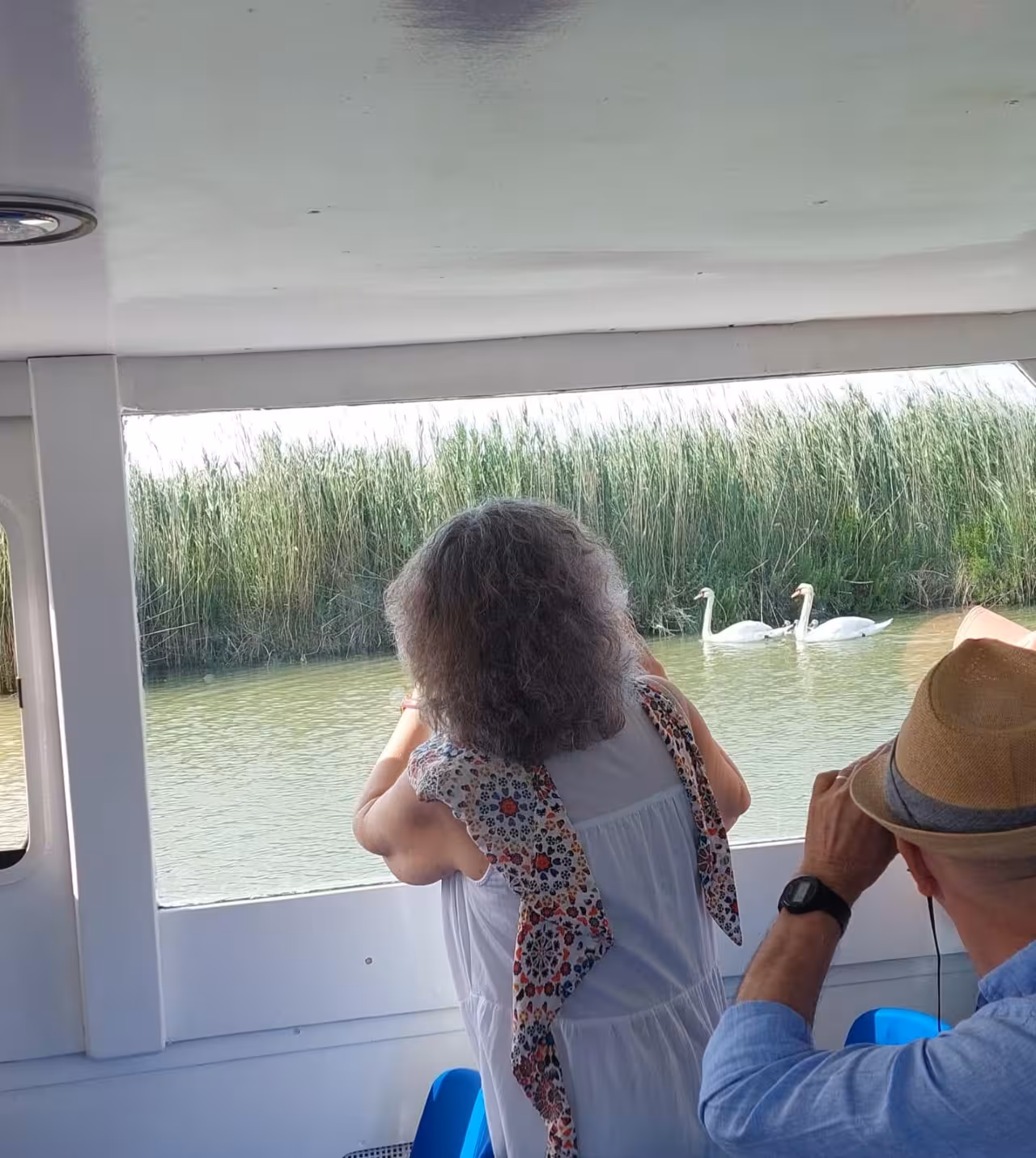 Passengers spotting swans from the boat on Po Delta sunset tour, exploring reed lagoons near Isola dell’Amore