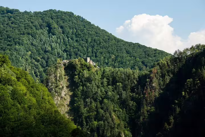 Poienari Fortress ruins on a rocky cliff surrounded by dense green forest along Transfagarasan Road