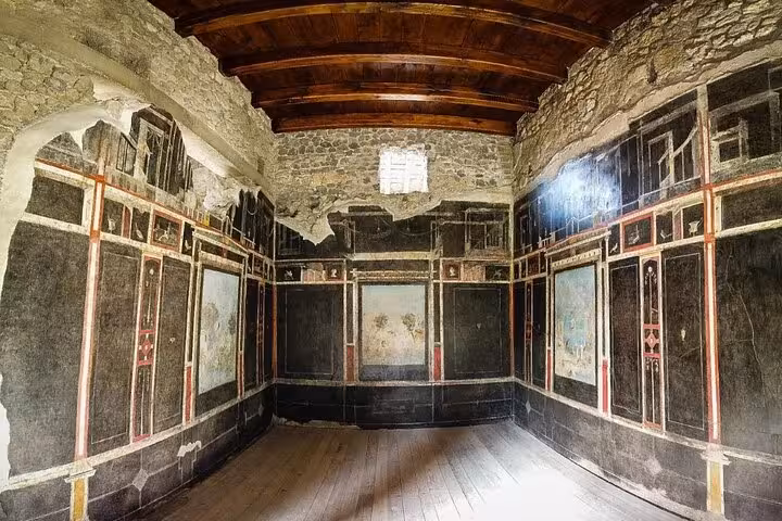 Explore ancient frescoes in a restored room at Pompeii on a private tour with winery visit, offering history and culture.