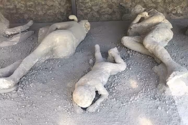 Preserved plaster casts of Pompeii victims showcasing the tragic history on a guided half-day tour.