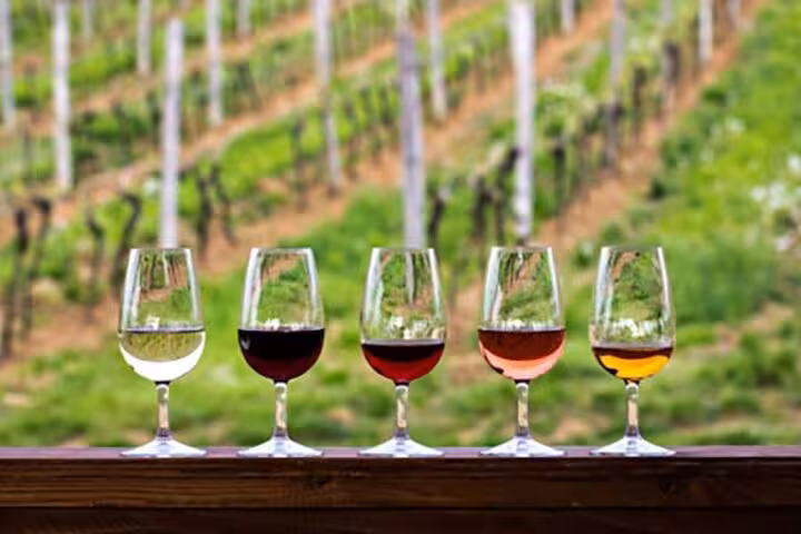 Five glasses of wine displayed against scenic vineyard backdrop, part of Pompeii tour experience from Sorrento.