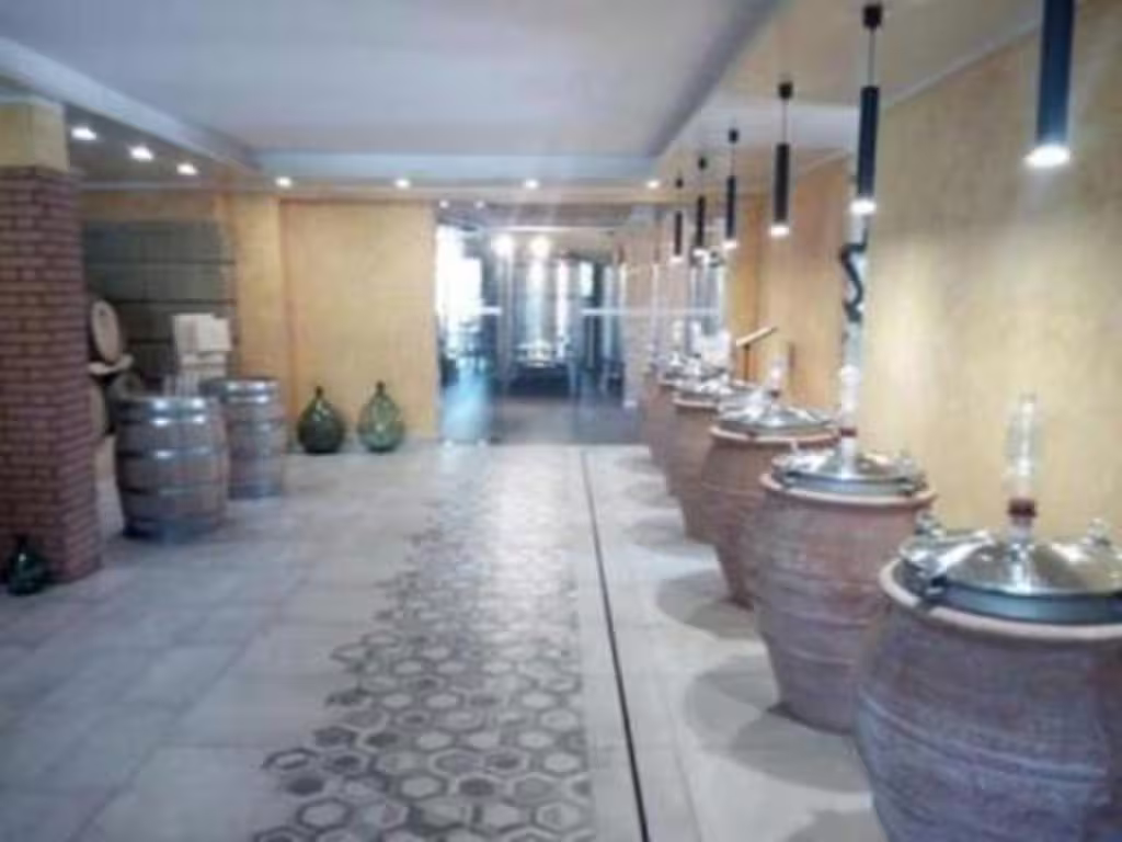 Wine cellar with terracotta fermentation jars and oak barrels visited on a Pompeii and Mt Vesuvius winery day tour