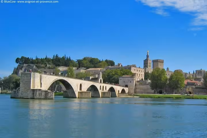 Pont Saint-Bénézet bridge and Avignon skyline on the Rhône River, private full-day shore excursion from Marseille