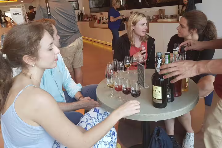 Group of people enjoying a port and Douro wine tasting experience at a cozy indoor venue, savoring a variety of wines.