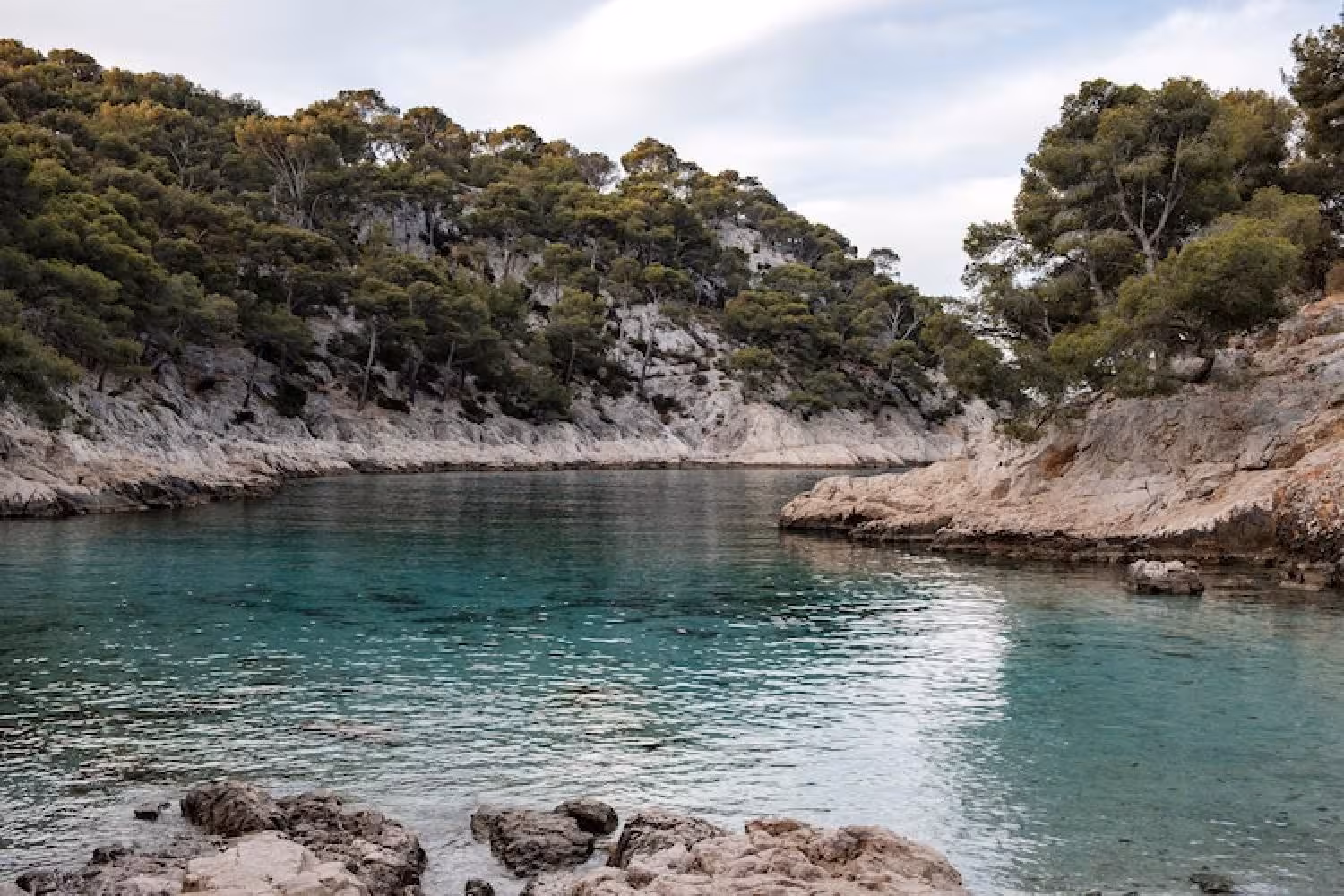 Turquoise cove at Port-Pin Calanque in Calanques National Park, scenic stop on En-Vau hiking tour
