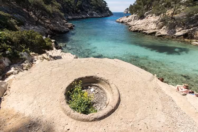 Turquoise cove at Port-Pin Calanque, Calanques National Park, scenic stop on En-Vau hiking tour from Cassis