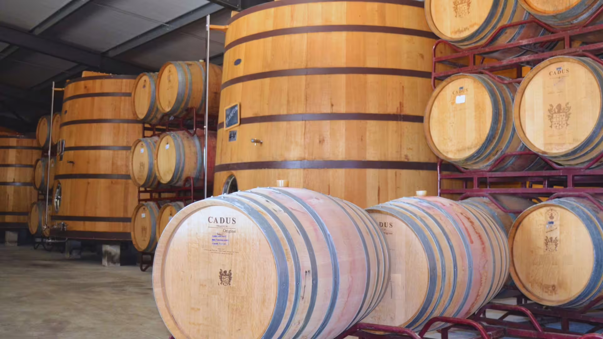 Image of new barrels of Port wine during a winery visit in the Douro Valley on Cooltour Oporto's Douro Valley Wine Tour from Porto