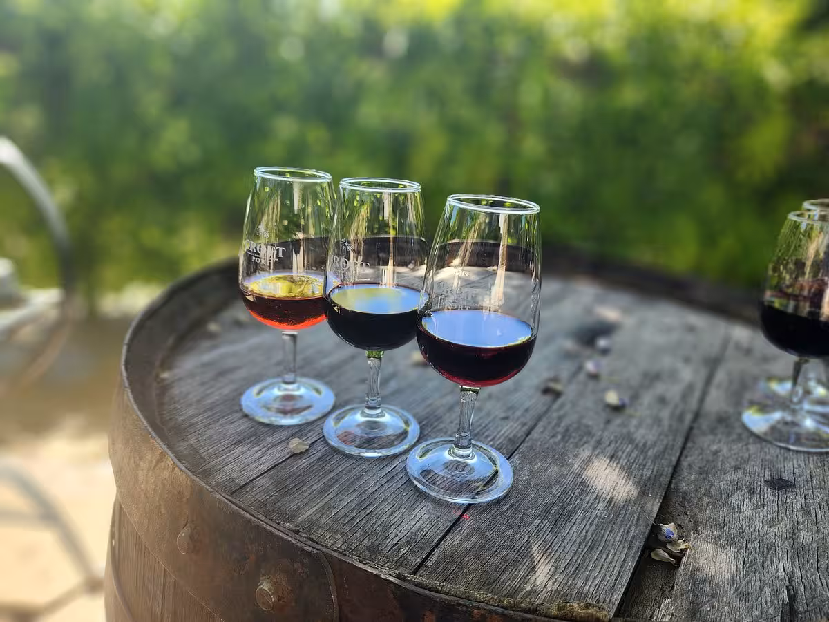 Port wine tasting flight on a rustic barrel table, perfect add-on for a Douro Valley panoramic tour