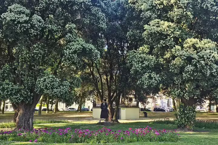 Lush park in Porto with vibrant flowers and tall trees, ideal for a relaxing stroll on a private city tour.