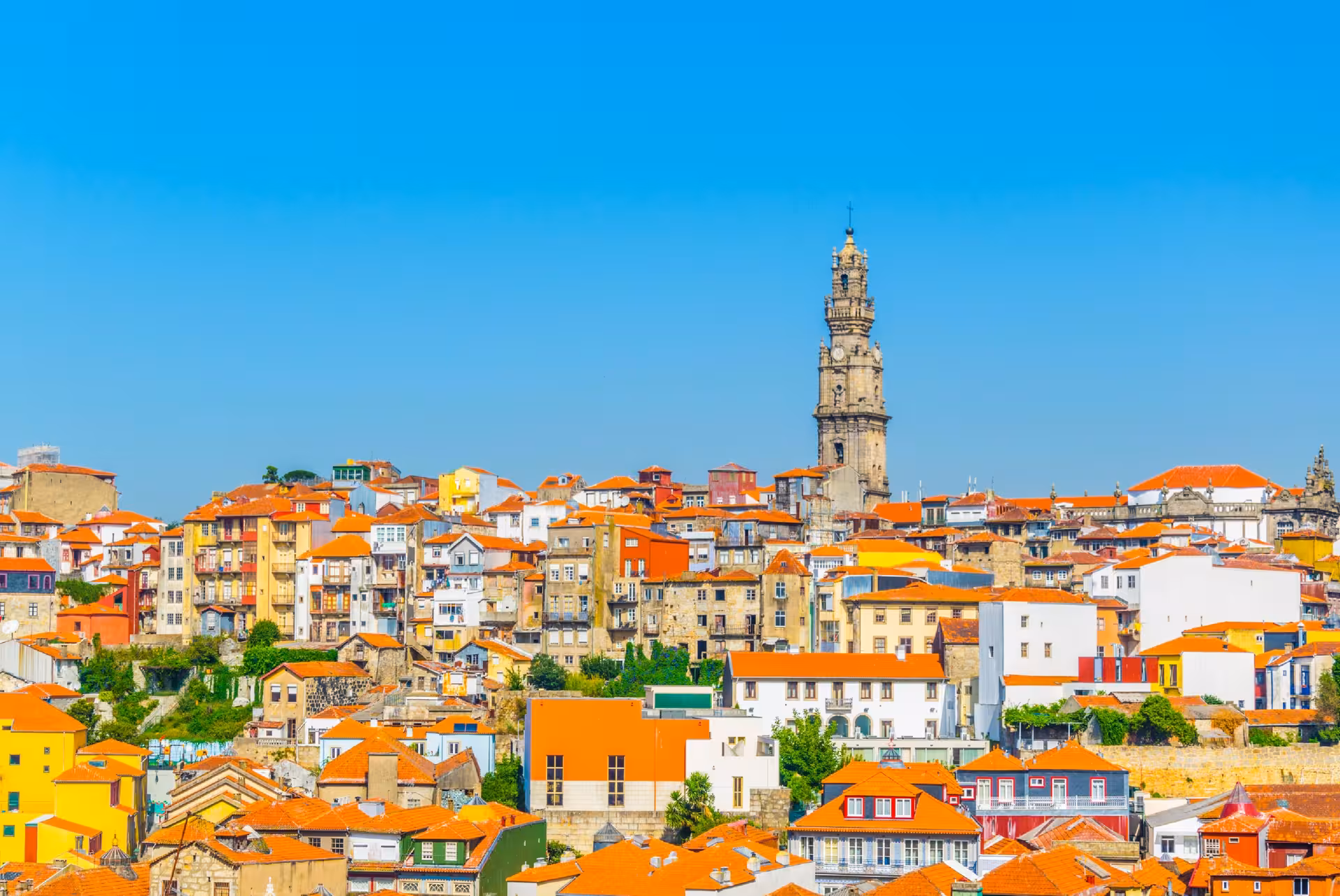 Clerics Tower and red roofs: The most beautiful panoramas explained by your audio guide.