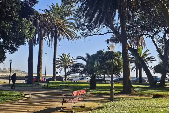 Scenic coastal park in Porto with palm trees and benches, ideal for a relaxing stop during a city tour with seafood lunch.