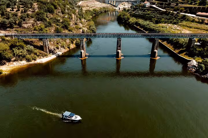 A serene boat sails under a scenic bridge on the Douro River, surrounded by lush vineyards and rolling hills.