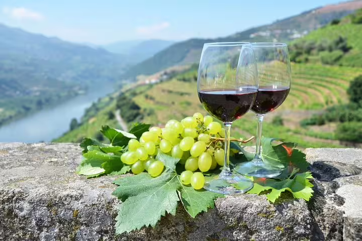 Glasses of red wine and grapes with Douro Valley vineyards in the background on Porto wine tour.