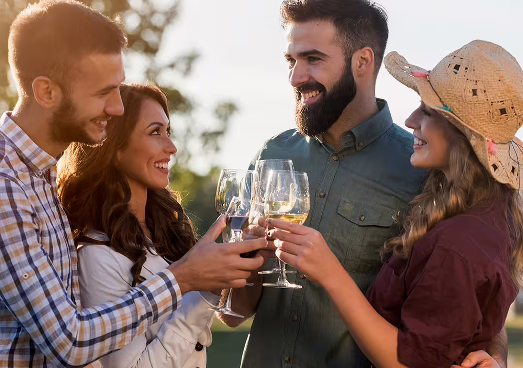 Happy group toasting with wine on a sunny Douro Valley tour from Porto, enjoying scenic vineyard views.