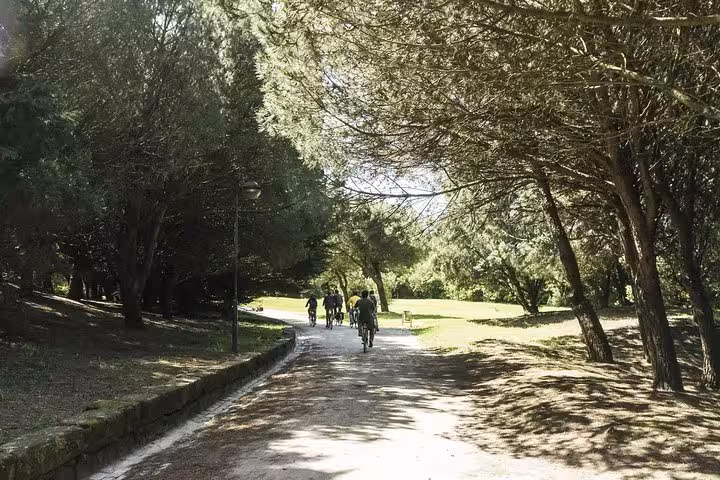 Relaxing in Porto’s city park.
