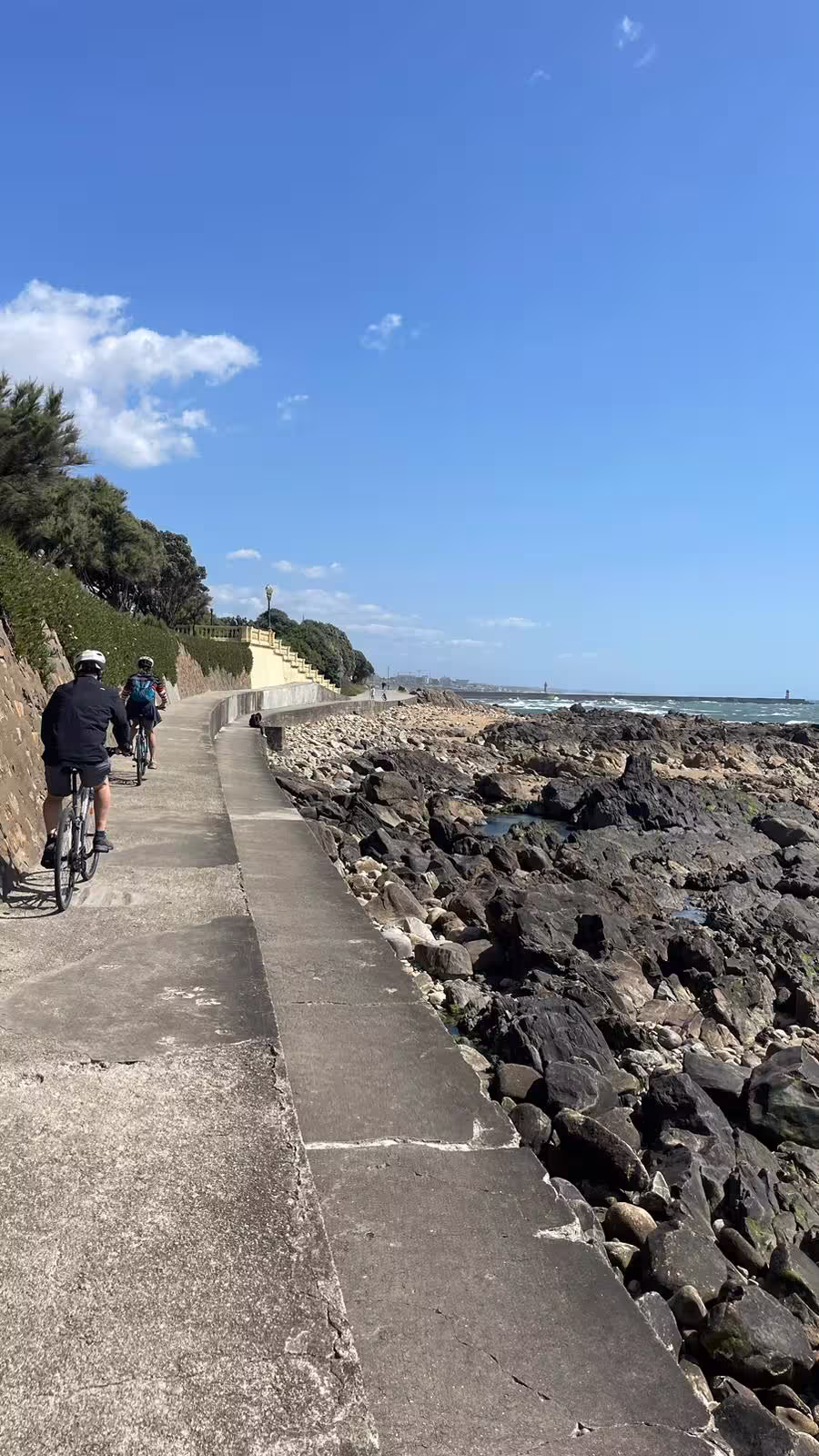Cyclists enjoy a scenic coastal path during the Porto E-bike Tour, with rocky shores and blue skies enhancing the ride.