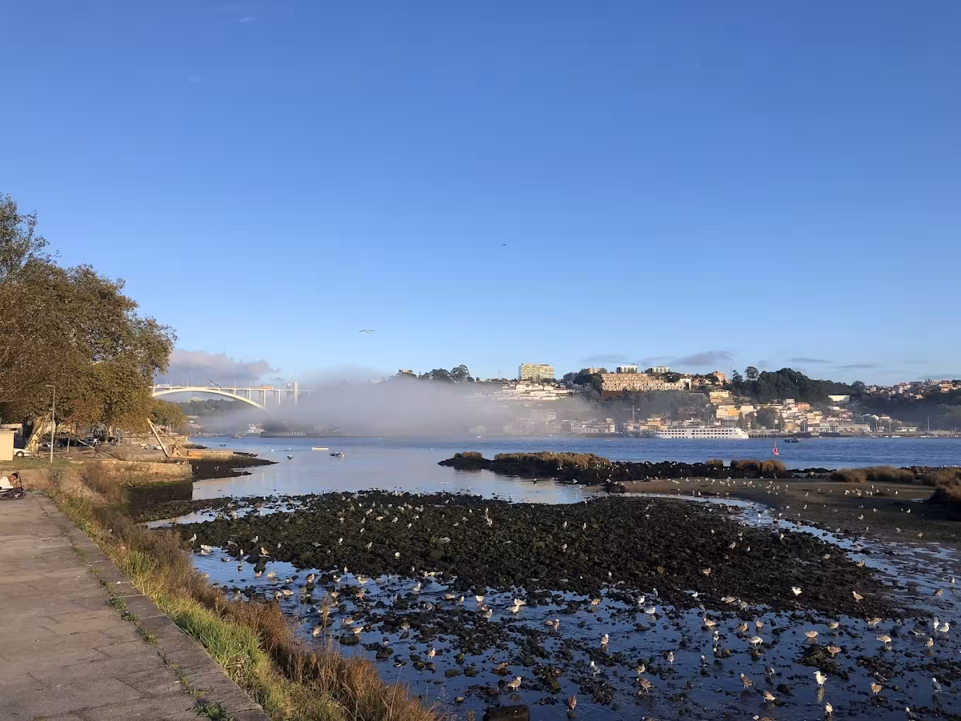 Peaceful riverside spot in Porto’s west end.