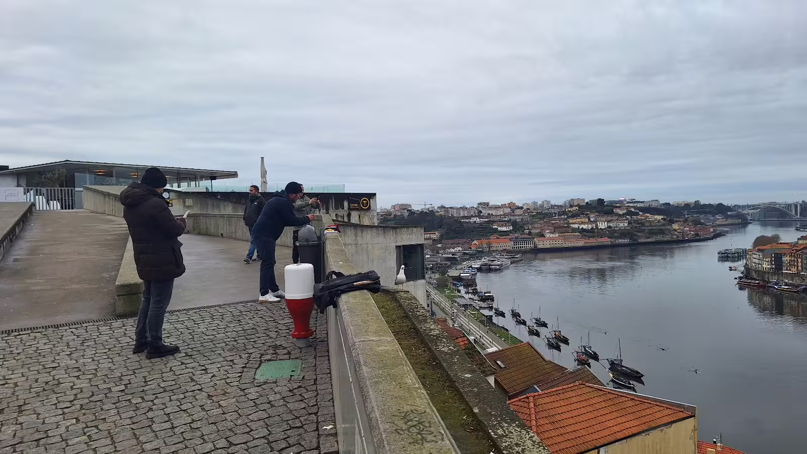 Tourists enjoy panoramic views of Porto's Douro River and historic architecture on a private afternoon tour experience.