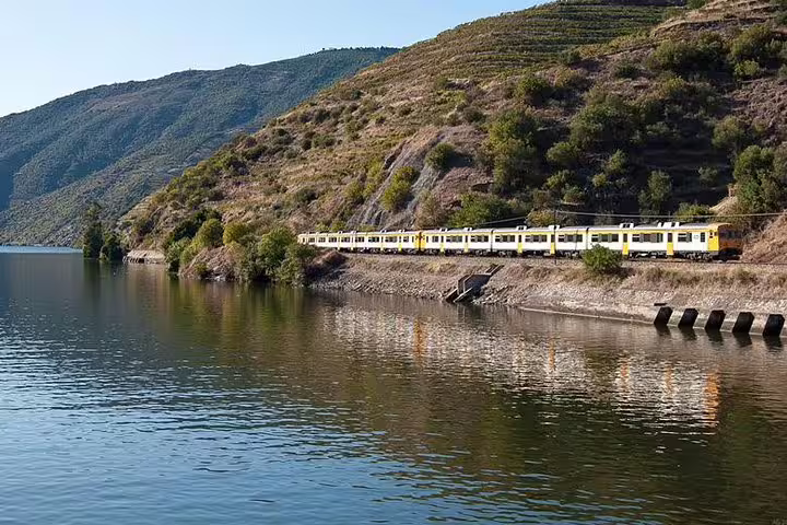 Scenic view of a train traveling along the Douro River with lush hills, perfect for Porto to Régua day trips.