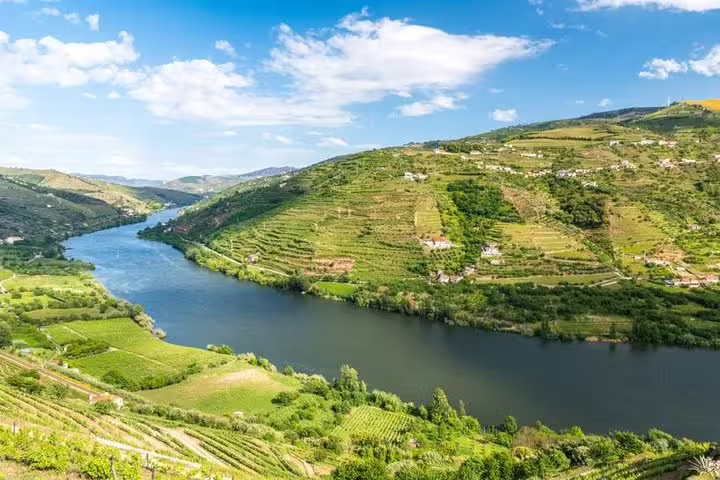 Stunning Douro Valley landscape with vineyards and river views on a day trip from Porto to Régua.